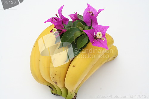 Image of Bananas