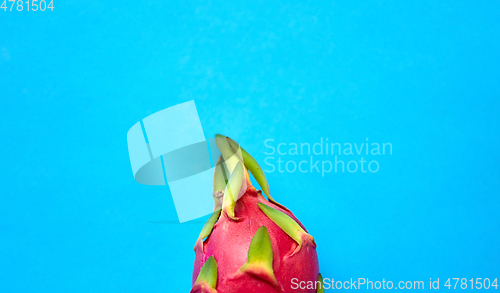 Image of close up of dragon fruit or pitaya on blue