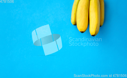 Image of close up of ripe banana bunch on blue background