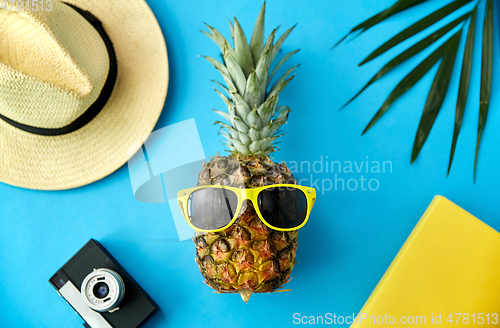 Image of pineapple in sunglasses, hat, camera and palm leaf