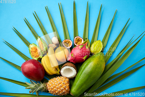 Image of different exotic fruits on blue background