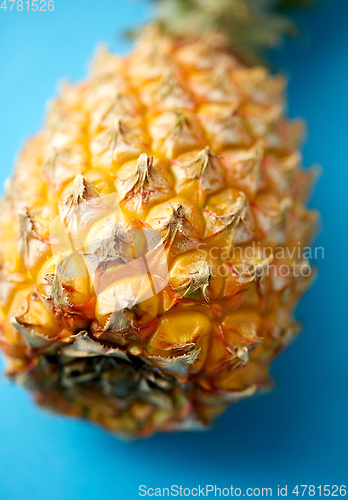 Image of close up of pineapple on blue background