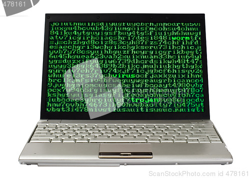 Image of Computer virus