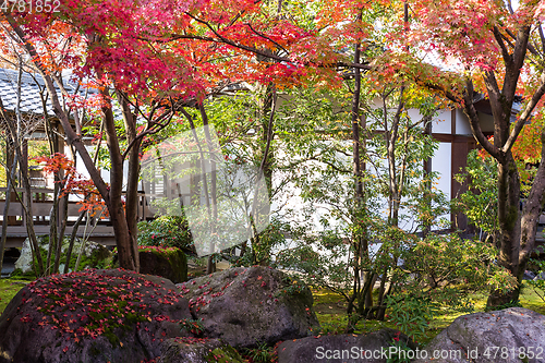 Image of Japanese garden in Autumn