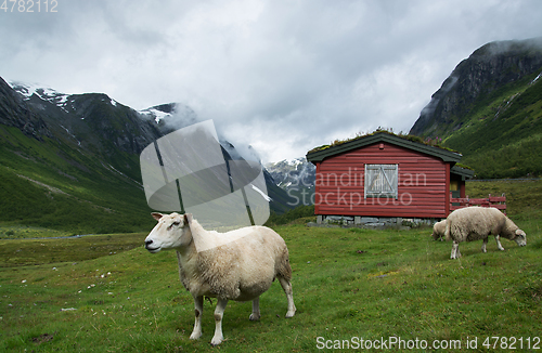 Image of Landscape in Sogn og Fjordane, Norway