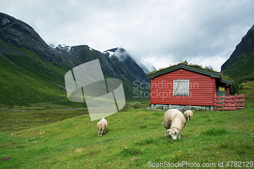 Image of Landscape in Sogn og Fjordane, Norway