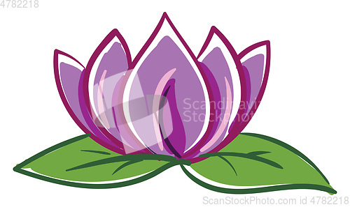 Image of Pink and purple lotus with two green leafes vector illustration 