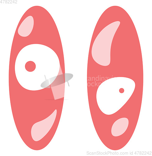 Image of A pair of long eyes vector or color illustration