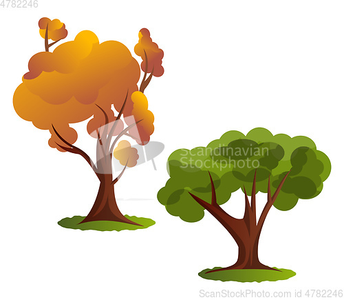 Image of Two autumn tree vector illustration on white background