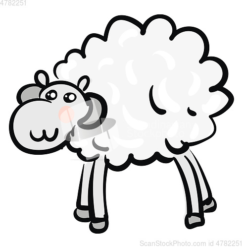 Image of White mountain ram animal vector or color illustration