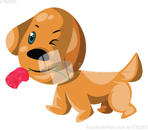 Image of Light brown dog holding a pink rose in his mouth vector illustra