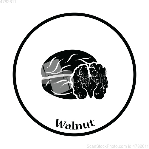 Image of Walnut icon