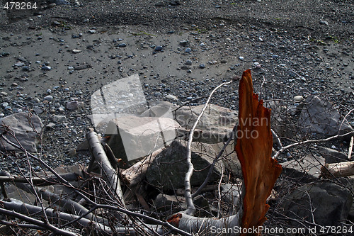 Image of Broken Branch