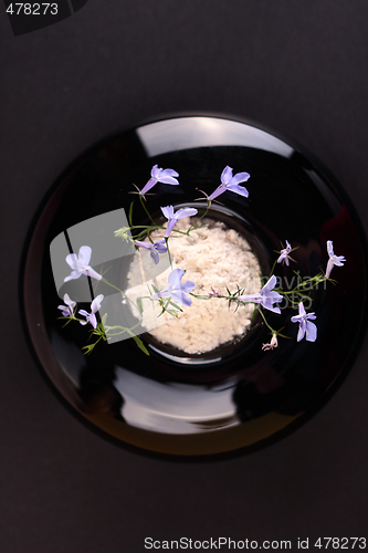 Image of Small blue flower