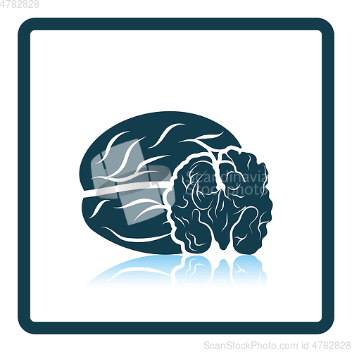 Image of Walnut icon