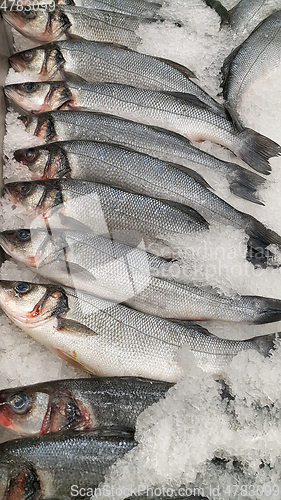 Image of Fresh sibas fish on ice for sale in market