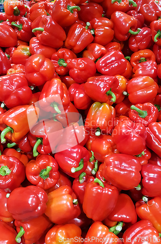Image of Red bell pepper at the market