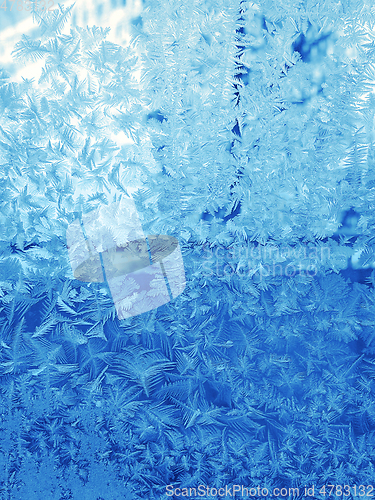 Image of Beautiful ice pattern on winter window glass