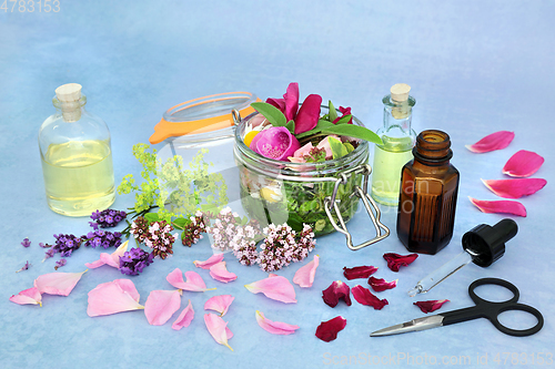Image of  Natural Herbal Medicine for Naturopathic Remedies 