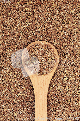 Image of Emmer Wholegrain Farro Wheat