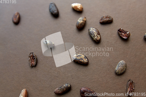 Image of cocoa beans on brown background