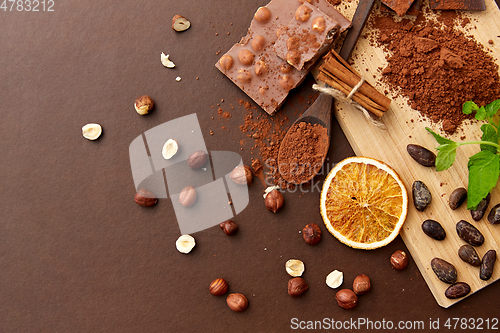 Image of chocolate with hazelnuts, cocoa beans and powder