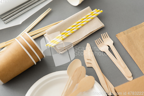 Image of disposable dishes of paper and wood