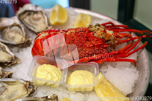 Image of Dish of fresh seafood, lobster with oysters with lemon and sauce
