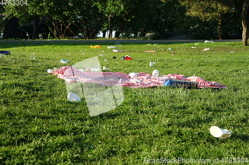 Image of Litter and Rubbish Left in the Park