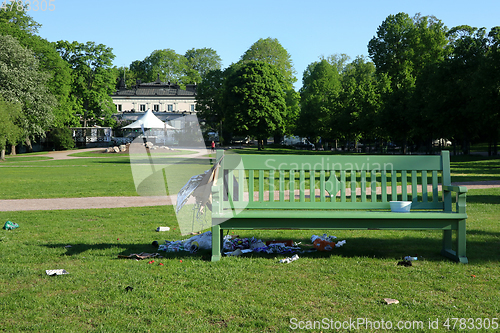 Image of Litter and Mess in the Park