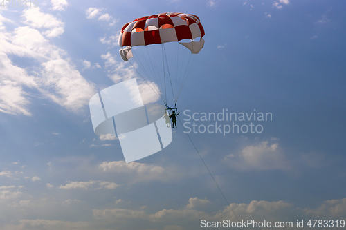 Image of Lovers of extreme recreation, fly by parachute in sky above sea surface