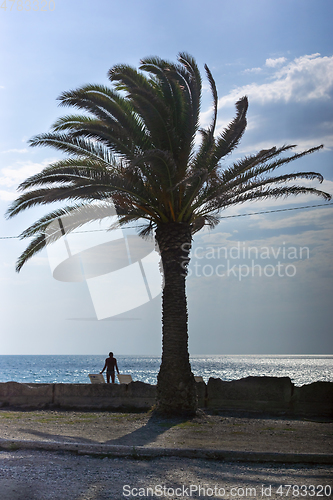 Image of Silhouette of man with two sun loungers on resort sea beach near palm tree