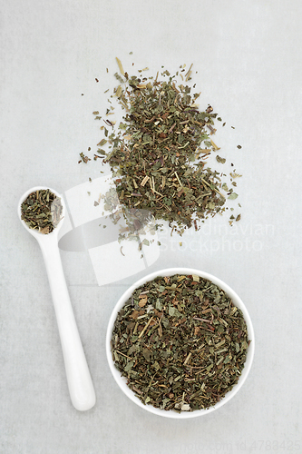 Image of Ground Ivy Herb Leaves Herbal Medicine