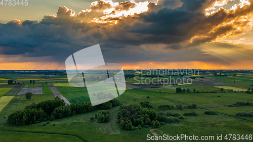 Image of Field with trees landscape from aerial