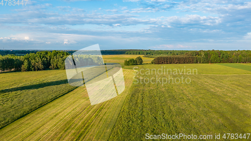 Image of Meadow with trees landscape from aerial