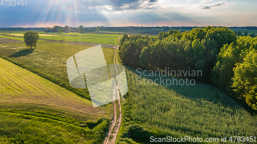 Image of Field with trees landscape from aerial