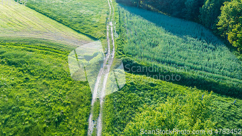 Image of Dirt road landscape from aerial