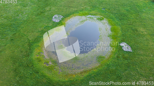 Image of Springtime waterhole in fresh green meadow