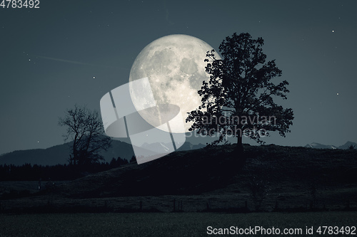 Image of moon and stars over dark scenery