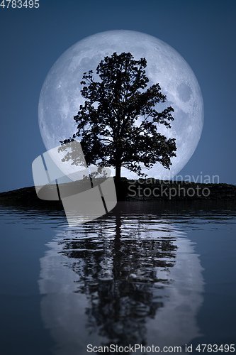 Image of Full moon with tree lake reflections