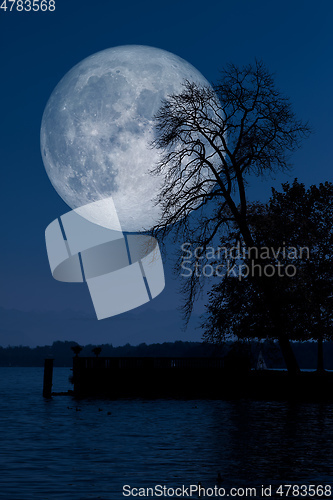 Image of Full moon with tree lake reflections