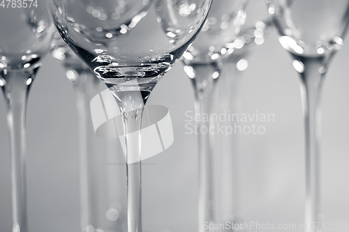 Image of wineglass detail black and white
