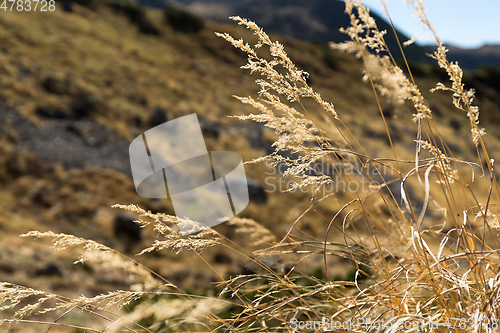 Image of Beautiful autumn landscape