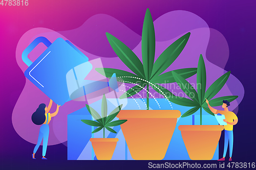 Image of Cannabis cultivation concept vector illustration.