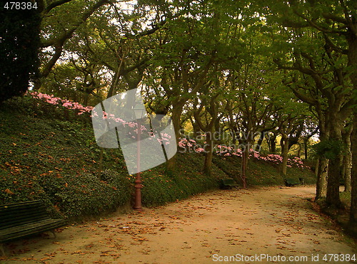 Image of Public garden in park