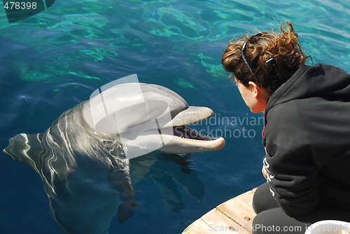 Image of Dolphinarium