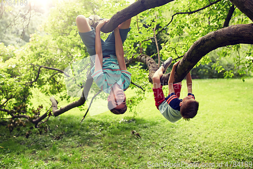 Image of two happy boys hanging on tree in summer park
