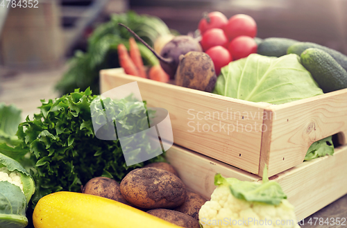 Image of close up of vegetables on farm