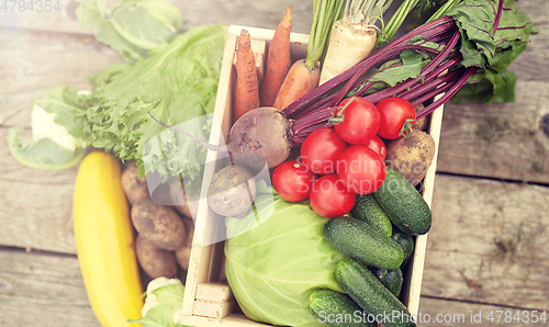 Image of close up of vegetables on farm