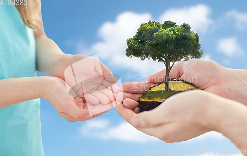 Image of close up of father's and girl's hands holding tree